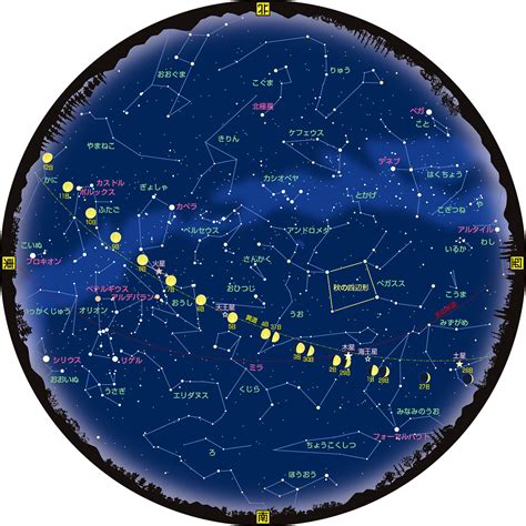 7月12日生日|7月12日星座